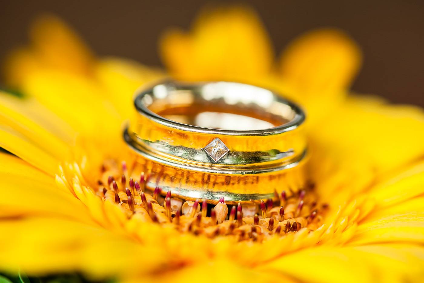 aschenputtel-hochzeitsfotograf-ringe-blumen-absam-hall-in-tirol