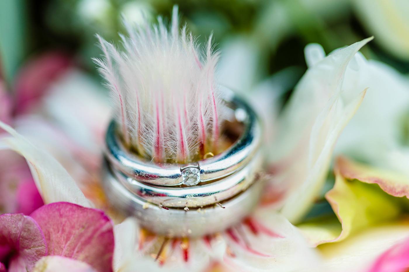 aschenputtel-hochzeitsfotograf-eheringe-suedtirol