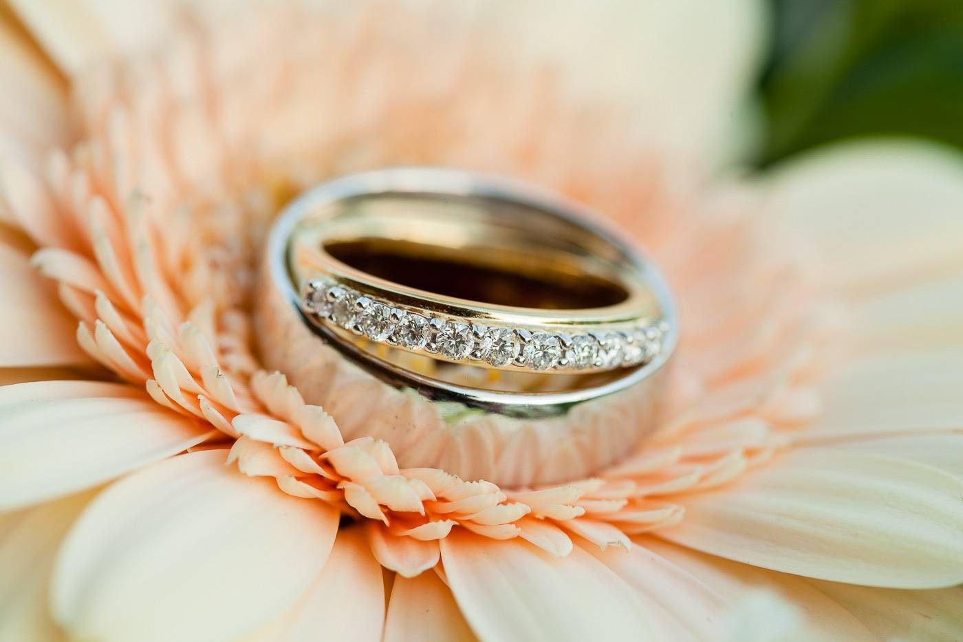 aschenputtel-hochzeitsfotograf-ringfotos-freie-trauung-seefeld-tirol