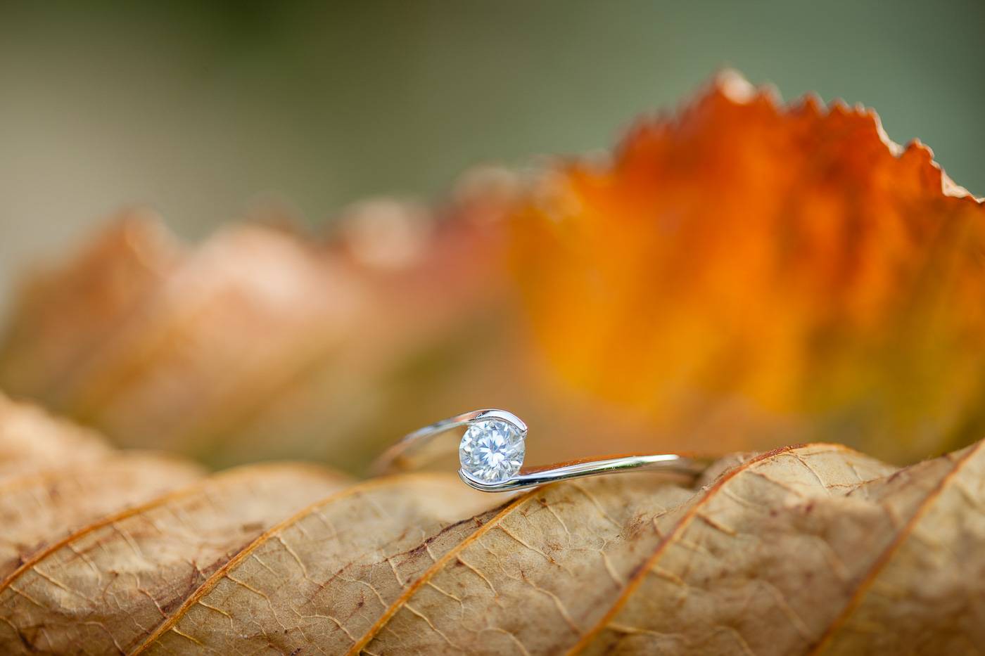 aschenputtel-hochzeitsfotograf-ringfotos-hochzeit-suedtirol
